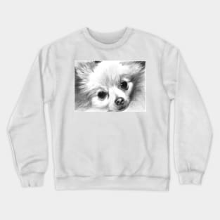 GRIFFEN Crewneck Sweatshirt